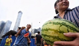 朝阳吃瓜群众,揭秘都市生活百态